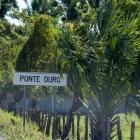 PonteDuro
